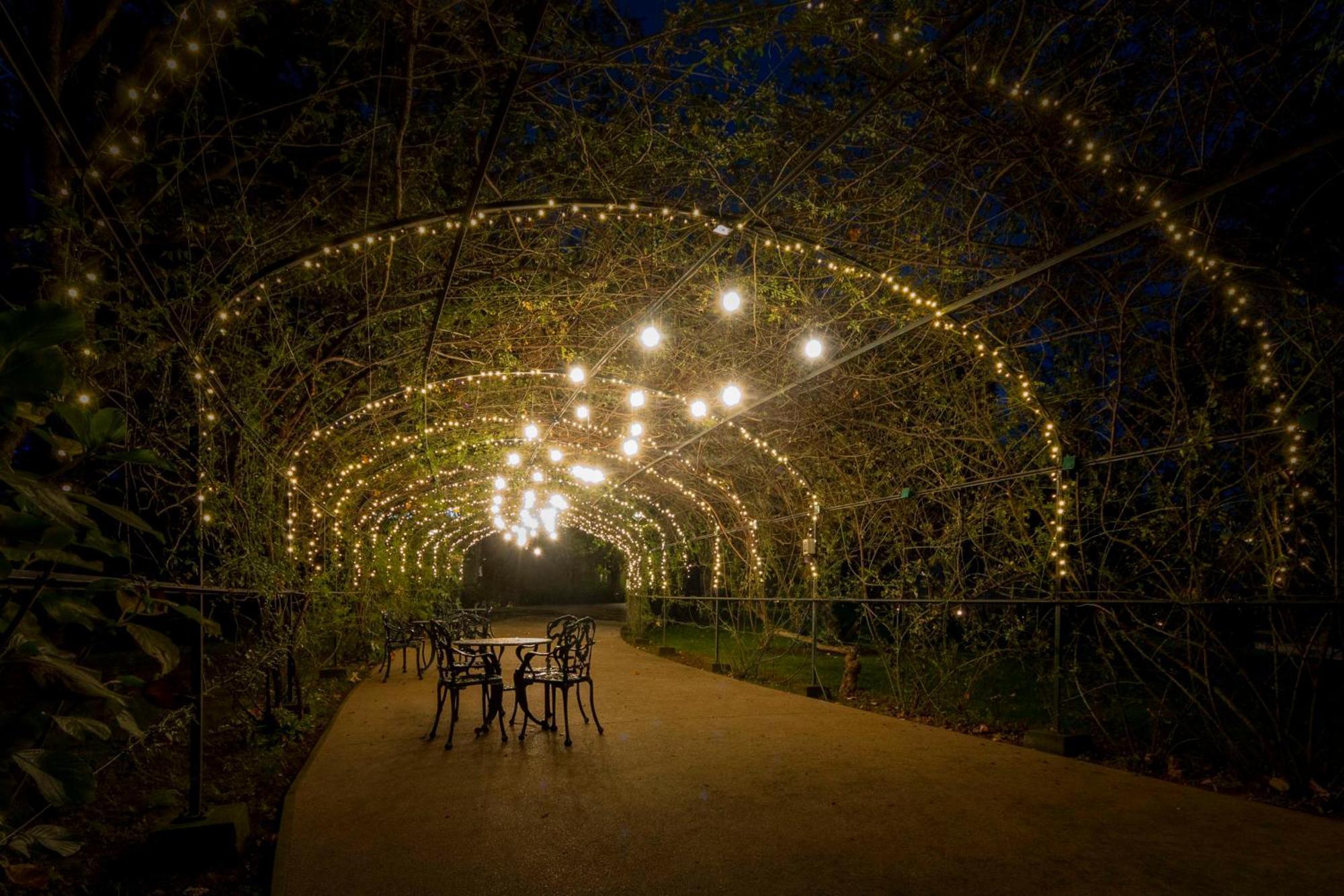 Boeira Garden Hotel Porto Gaia, Curio Collection By Hilton Vila Nova de Gaia Exterior foto The Pergola at night